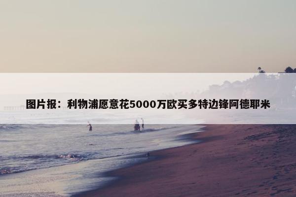 图片报：利物浦愿意花5000万欧买多特边锋阿德耶米