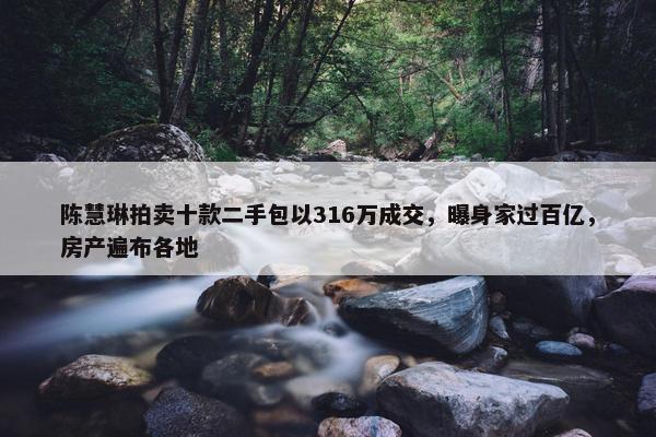 陈慧琳拍卖十款二手包以316万成交，曝身家过百亿，房产遍布各地