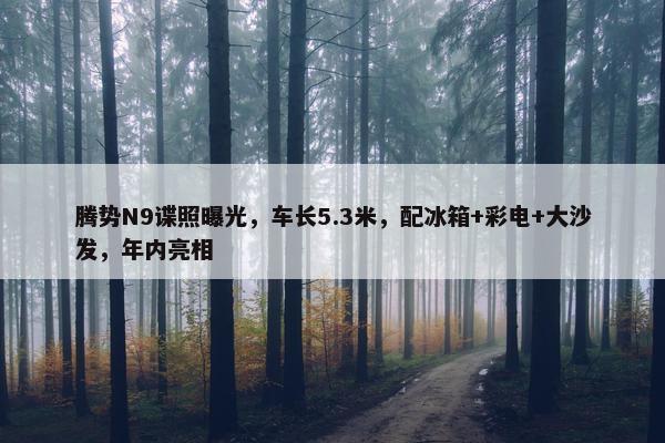 腾势N9谍照曝光，车长5.3米，配冰箱+彩电+大沙发，年内亮相