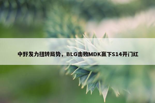 中野发力扭转局势，BLG击败MDK赢下S14开门红