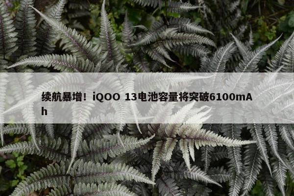 续航暴增！iQOO 13电池容量将突破6100mAh