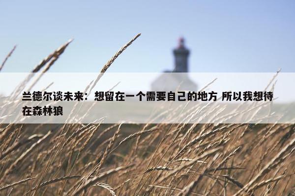 兰德尔谈未来：想留在一个需要自己的地方 所以我想待在森林狼