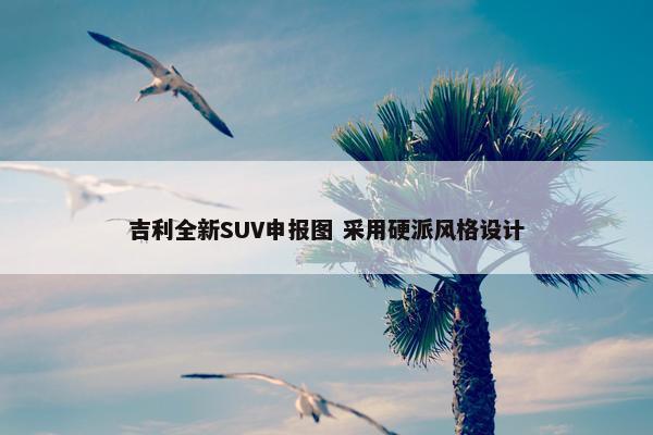 吉利全新SUV申报图 采用硬派风格设计