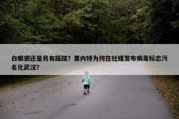 白眼狼还是另有蹊跷？里内特为何在社媒发布病毒标志污名化武汉？