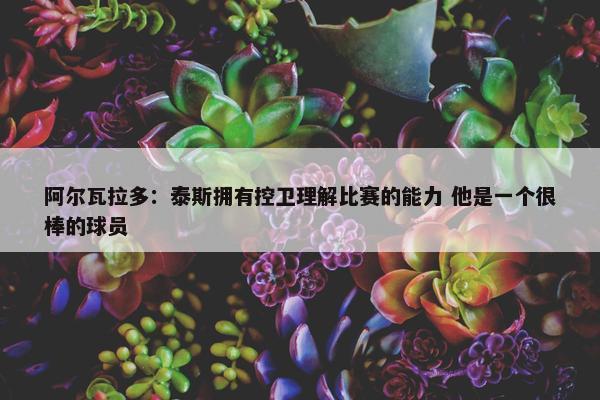 阿尔瓦拉多：泰斯拥有控卫理解比赛的能力 他是一个很棒的球员