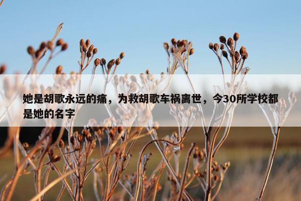 她是胡歌永远的痛，为救胡歌车祸离世，今30所学校都是她的名字