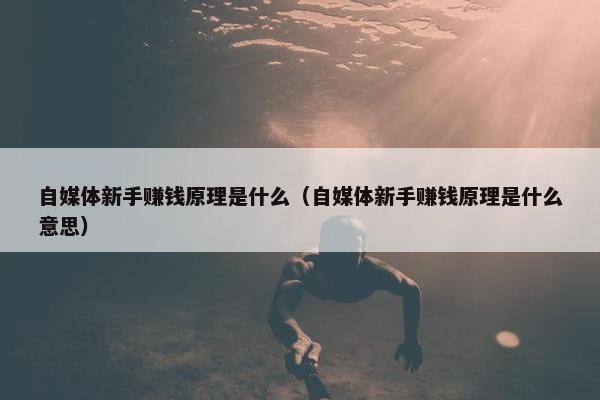 自媒体新手赚钱原理是什么（自媒体新手赚钱原理是什么意思）