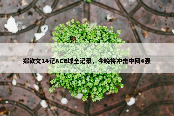 郑钦文14记ACE球全记录，今晚将冲击中网4强