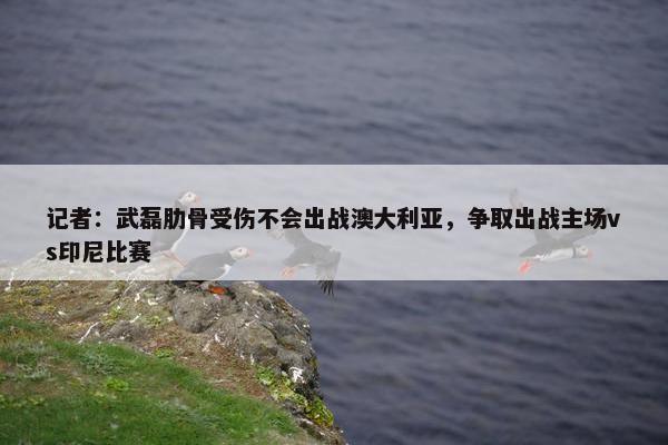 记者：武磊肋骨受伤不会出战澳大利亚，争取出战主场vs印尼比赛