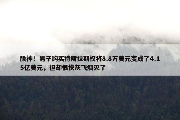 股神！男子购买特斯拉期权将8.8万美元变成了4.15亿美元，但却很快灰飞烟灭了