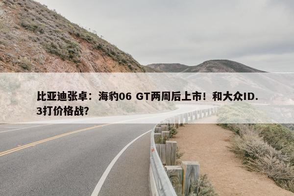 比亚迪张卓：海豹06 GT两周后上市！和大众ID.3打价格战？