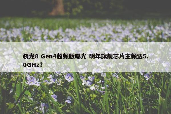 骁龙8 Gen4超频版曝光 明年旗舰芯片主频达5.0GHz？