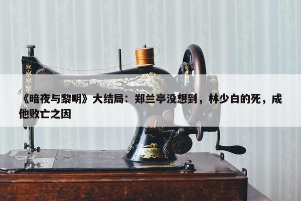 《暗夜与黎明》大结局：郑兰亭没想到，林少白的死，成他败亡之因