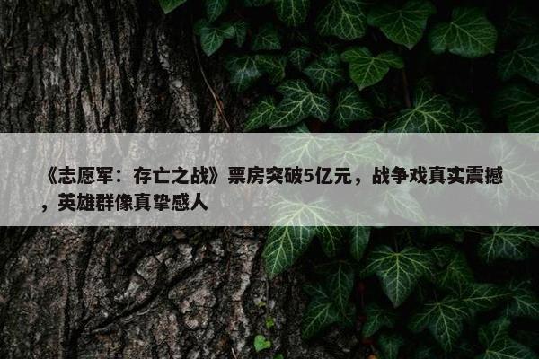 《志愿军：存亡之战》票房突破5亿元，战争戏真实震撼，英雄群像真挚感人