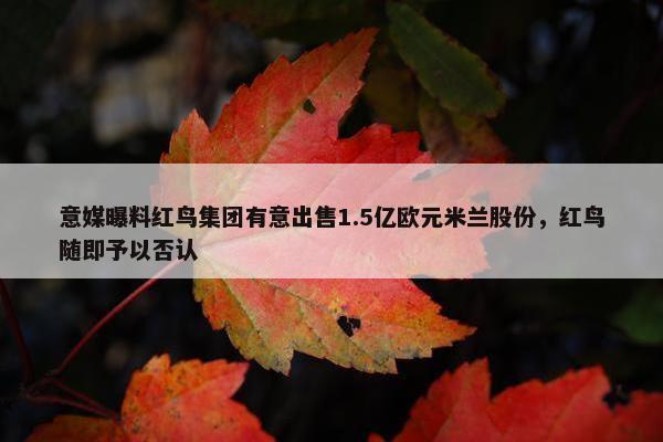 意媒曝料红鸟集团有意出售1.5亿欧元米兰股份，红鸟随即予以否认