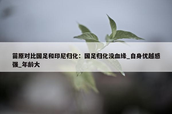 苗原对比国足和印尼归化：国足归化没血缘_自身优越感强_年龄大