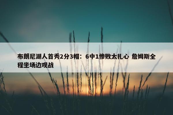 布朗尼湖人首秀2分3帽：6中1惨败太扎心 詹姆斯全程坐场边观战