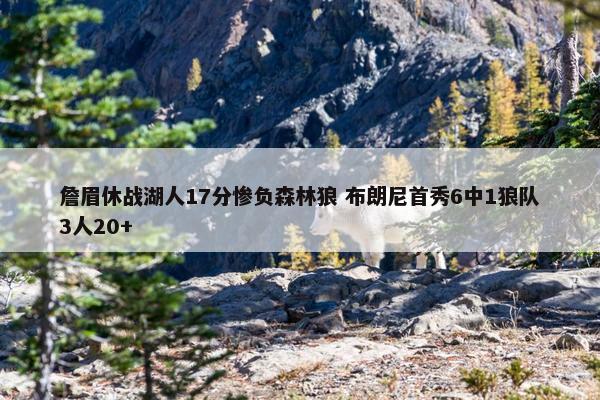 詹眉休战湖人17分惨负森林狼 布朗尼首秀6中1狼队3人20+