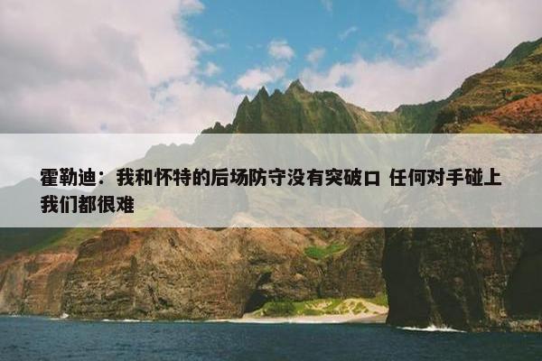 霍勒迪：我和怀特的后场防守没有突破口 任何对手碰上我们都很难