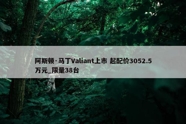 阿斯顿·马丁Valiant上市 起配价3052.5万元_限量38台