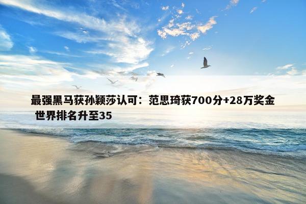 最强黑马获孙颖莎认可：范思琦获700分+28万奖金 世界排名升至35