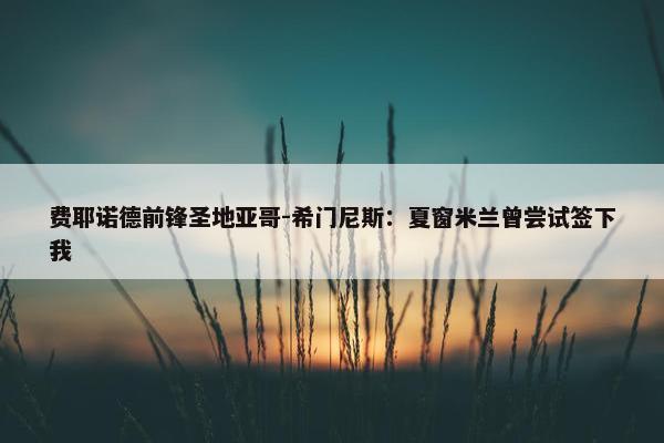 费耶诺德前锋圣地亚哥-希门尼斯：夏窗米兰曾尝试签下我