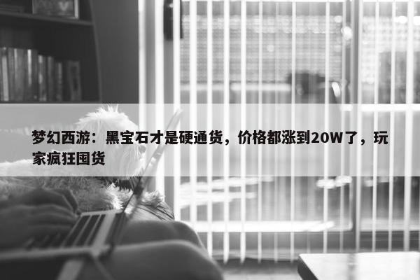 梦幻西游：黑宝石才是硬通货，价格都涨到20W了，玩家疯狂囤货