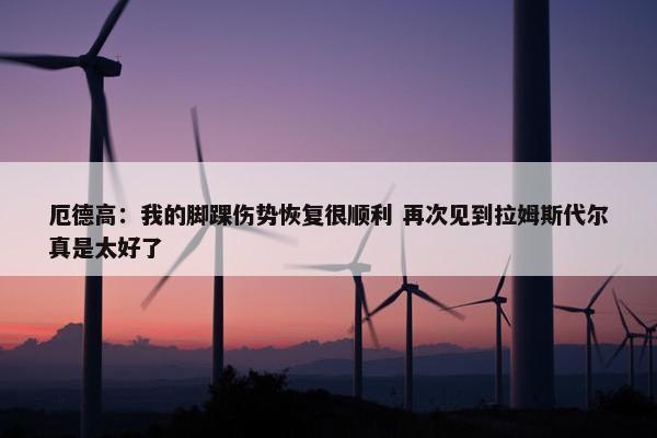 厄德高：我的脚踝伤势恢复很顺利 再次见到拉姆斯代尔真是太好了