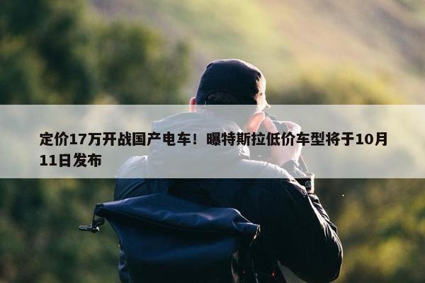 定价17万开战国产电车！曝特斯拉低价车型将于10月11日发布