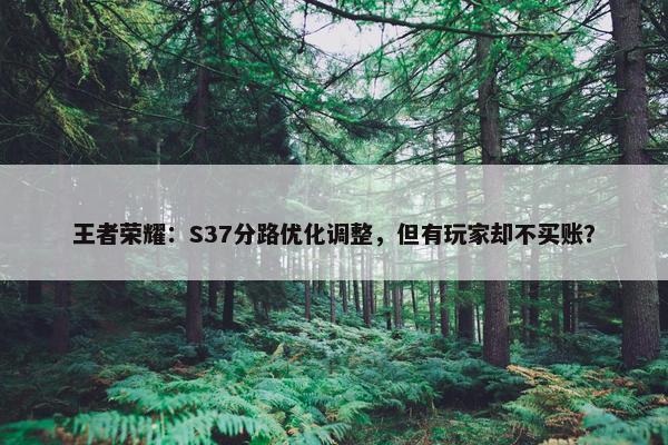 王者荣耀：S37分路优化调整，但有玩家却不买账？