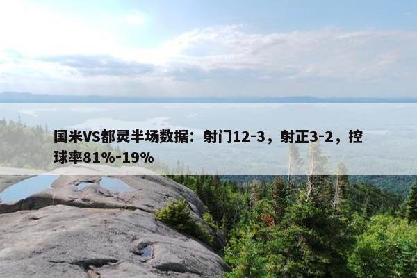 国米VS都灵半场数据：射门12-3，射正3-2，控球率81%-19%