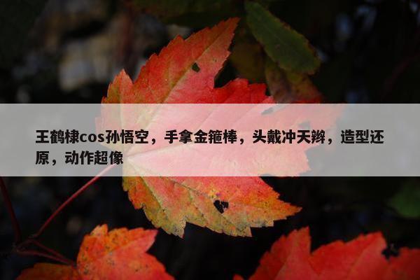 王鹤棣cos孙悟空，手拿金箍棒，头戴冲天辫，造型还原，动作超像