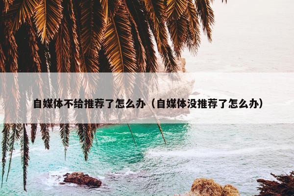 自媒体不给推荐了怎么办（自媒体没推荐了怎么办）