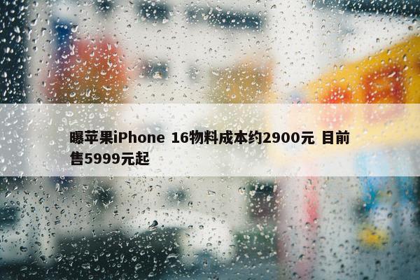 曝苹果iPhone 16物料成本约2900元 目前售5999元起