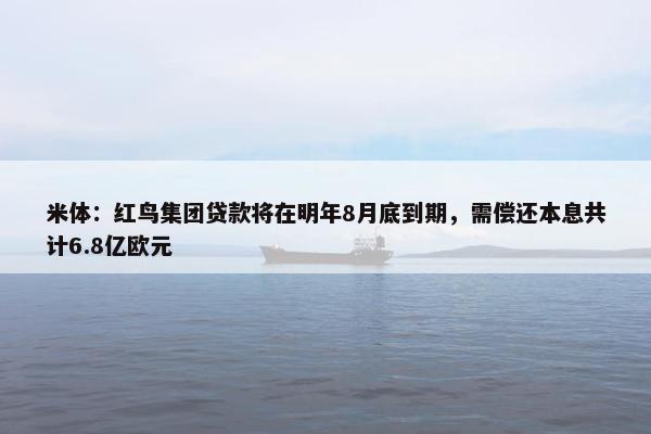 米体：红鸟集团贷款将在明年8月底到期，需偿还本息共计6.8亿欧元