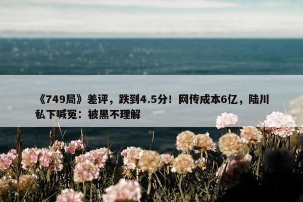 《749局》差评，跌到4.5分！网传成本6亿，陆川私下喊冤：被黑不理解