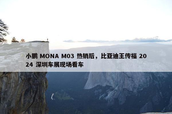 小鹏 MONA M03 热销后，比亚迪王传福 2024 深圳车展现场看车