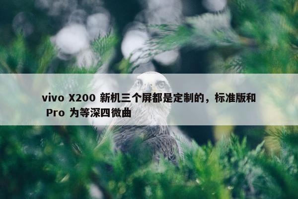 vivo X200 新机三个屏都是定制的，标准版和 Pro 为等深四微曲