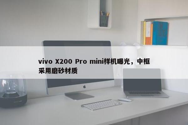 vivo X200 Pro mini样机曝光，中框采用磨砂材质