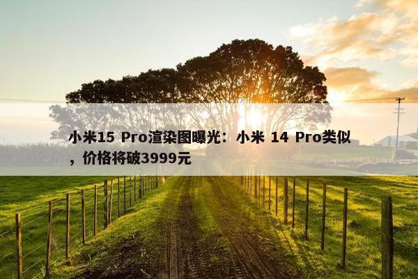 小米15 Pro渲染图曝光：小米 14 Pro类似，价格将破3999元