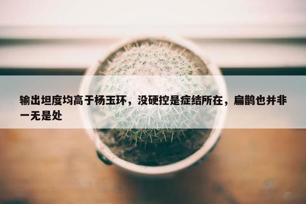 输出坦度均高于杨玉环，没硬控是症结所在，扁鹊也并非一无是处