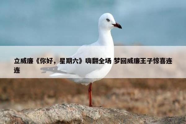 立威廉《你好，星期六》嗨翻全场 梦回威廉王子惊喜连连