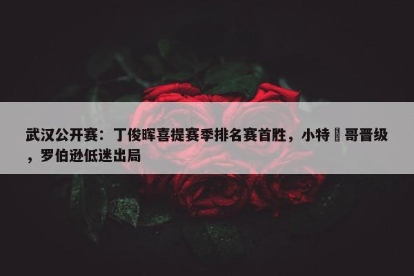 武汉公开赛：丁俊晖喜提赛季排名赛首胜，小特囧哥晋级，罗伯逊低迷出局