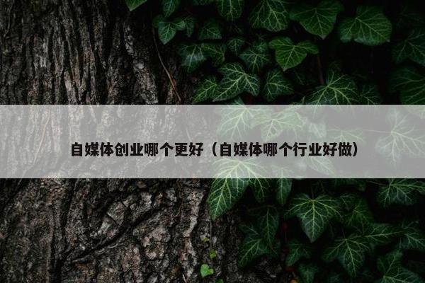 自媒体创业哪个更好（自媒体哪个行业好做）