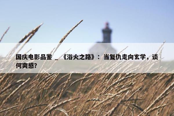 国庆电影品鉴 _ 《浴火之路》：当复仇走向玄学，谈何爽感？