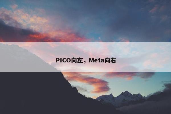 PICO向左，Meta向右