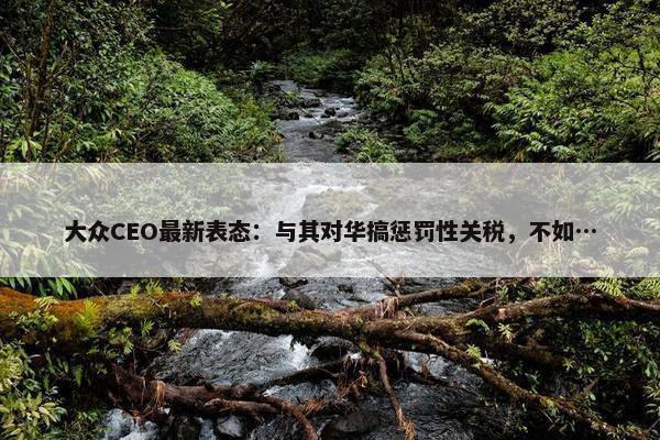 大众CEO最新表态：与其对华搞惩罚性关税，不如…