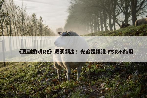 《直到黎明RE》漏洞频出！光追是摆设 FSR不能用