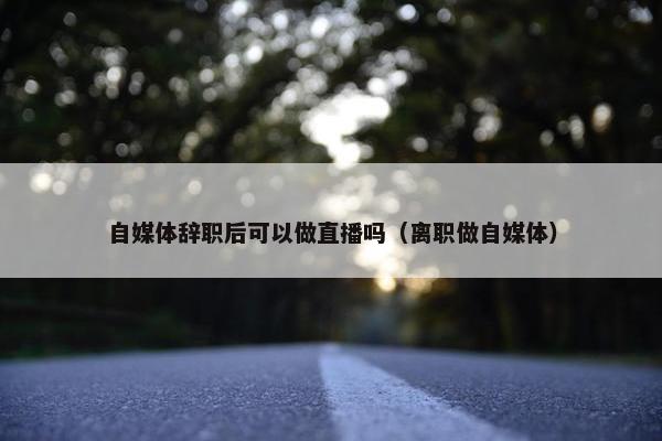 自媒体辞职后可以做直播吗（离职做自媒体）