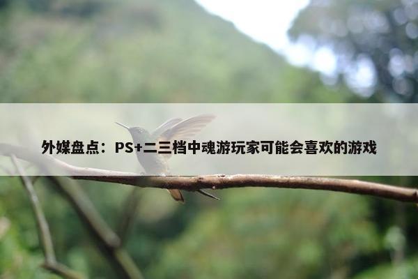 外媒盘点：PS+二三档中魂游玩家可能会喜欢的游戏